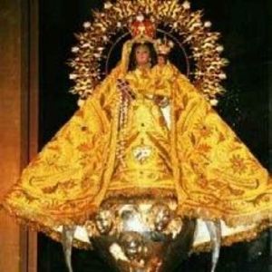 Meet your Posher, Liannis